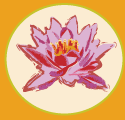 my lotus
